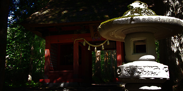 電話占い利用者の増加